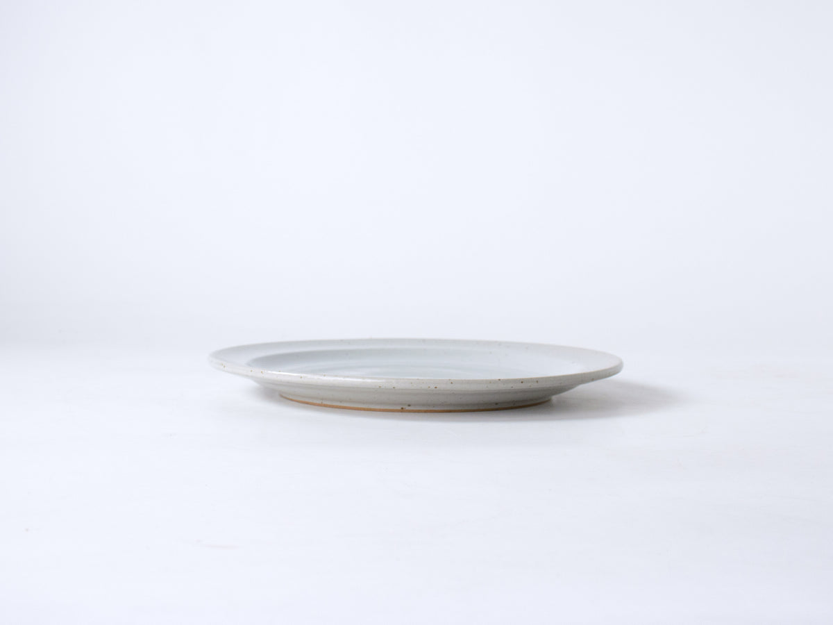 Dove Grey