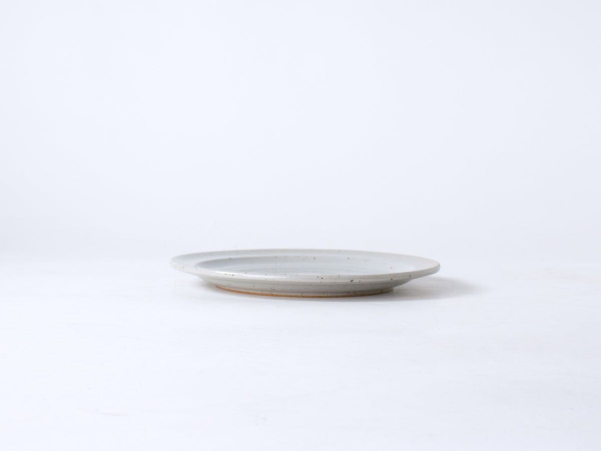 Dove Grey