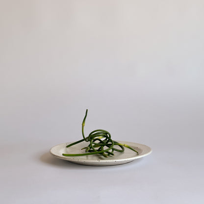 Dinner Plate: Classic Collection