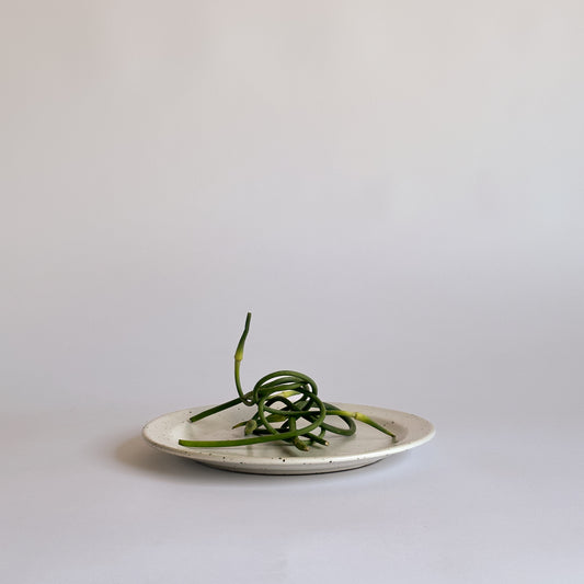 Dinner Plate: Classic Collection