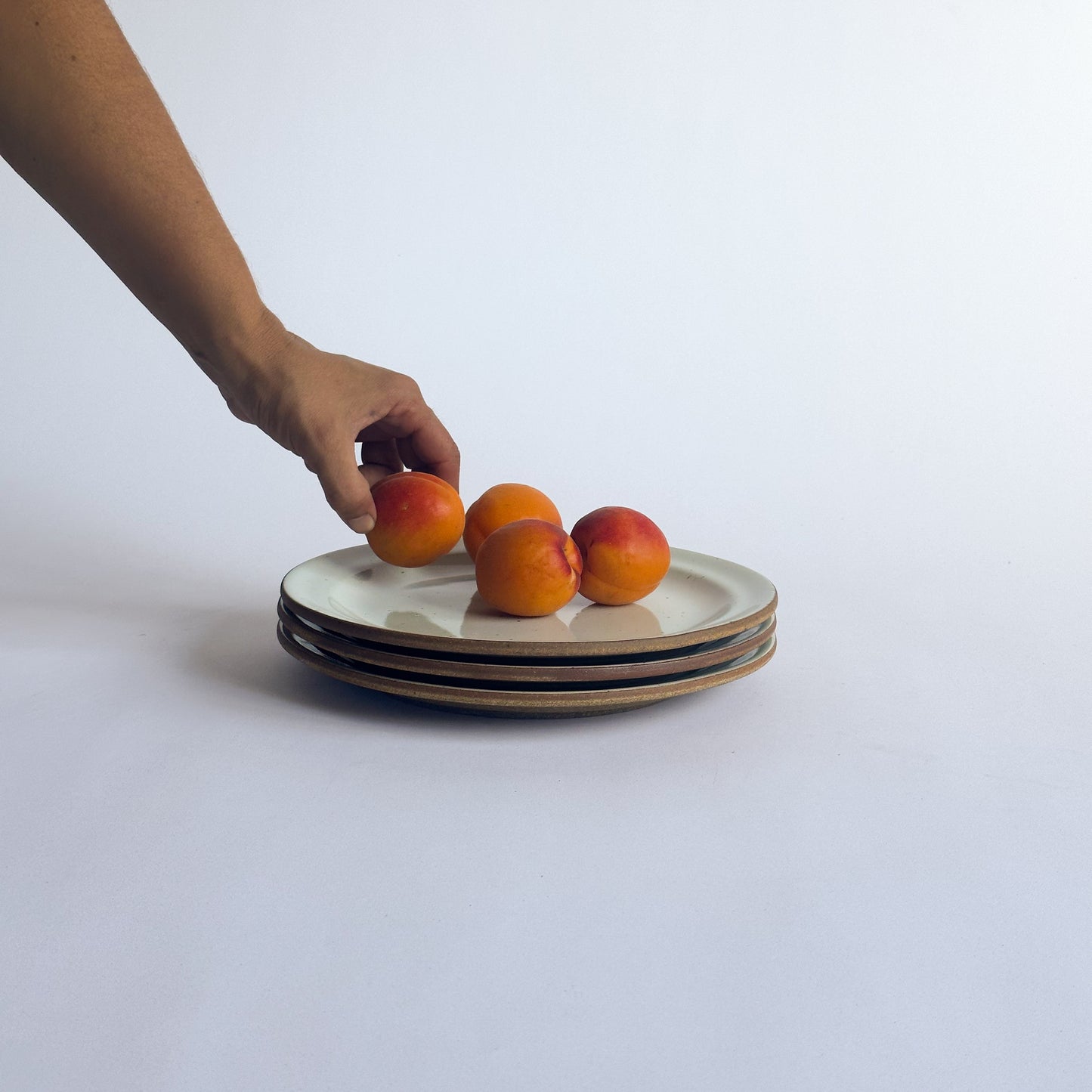 Lunch Plate: Classic Collection