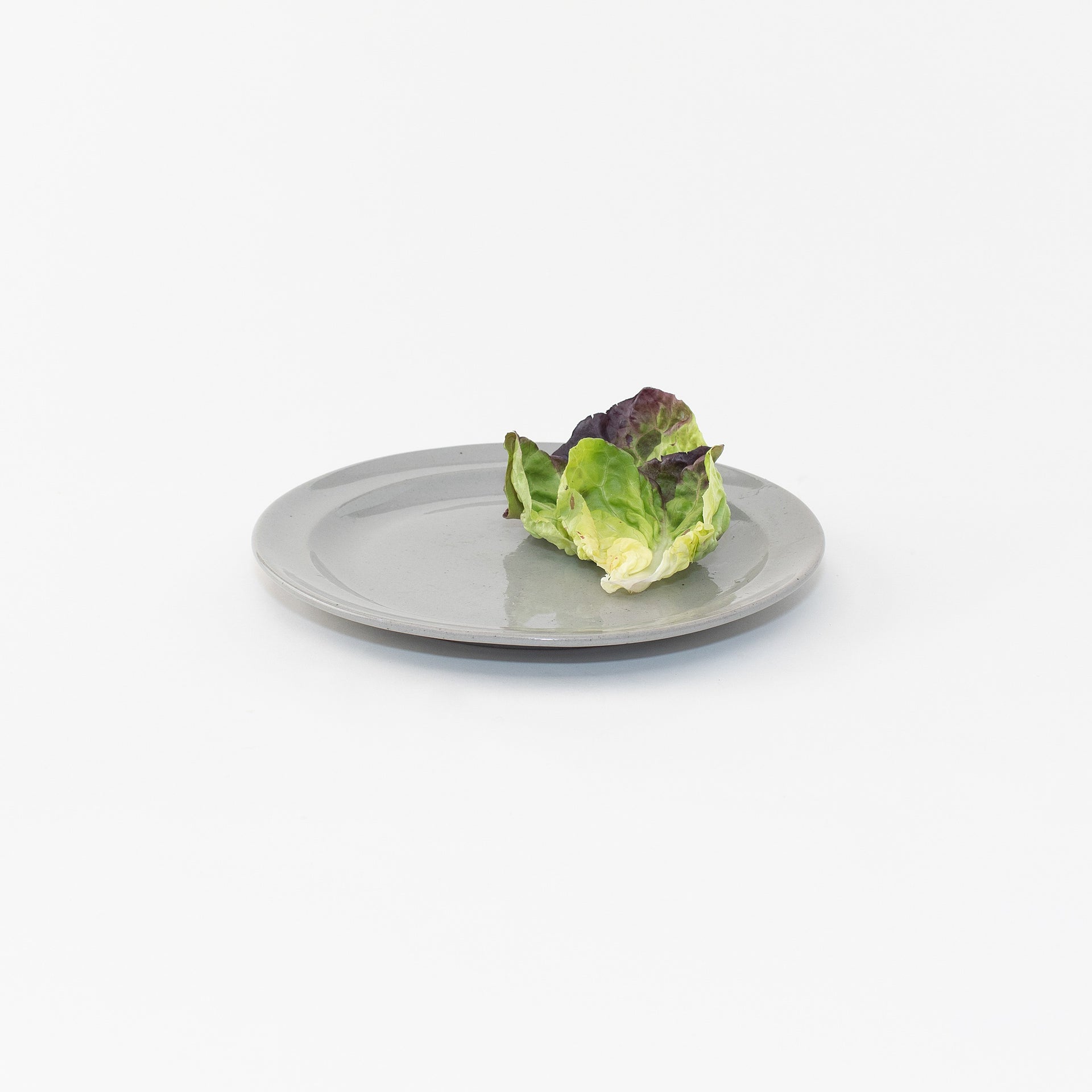 Dinner Plate: Classic Collection